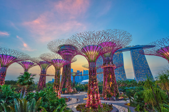 Singapore Gardens By the Bay